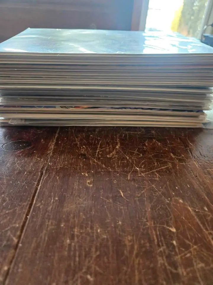 38 Comics Boarded and Bagged - The Junk Guru