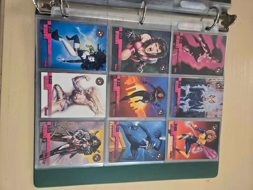 1996 Marvel Spider - Man Arackno - Foe | Binder full of cards | The Junk Guru - The Junk Guru