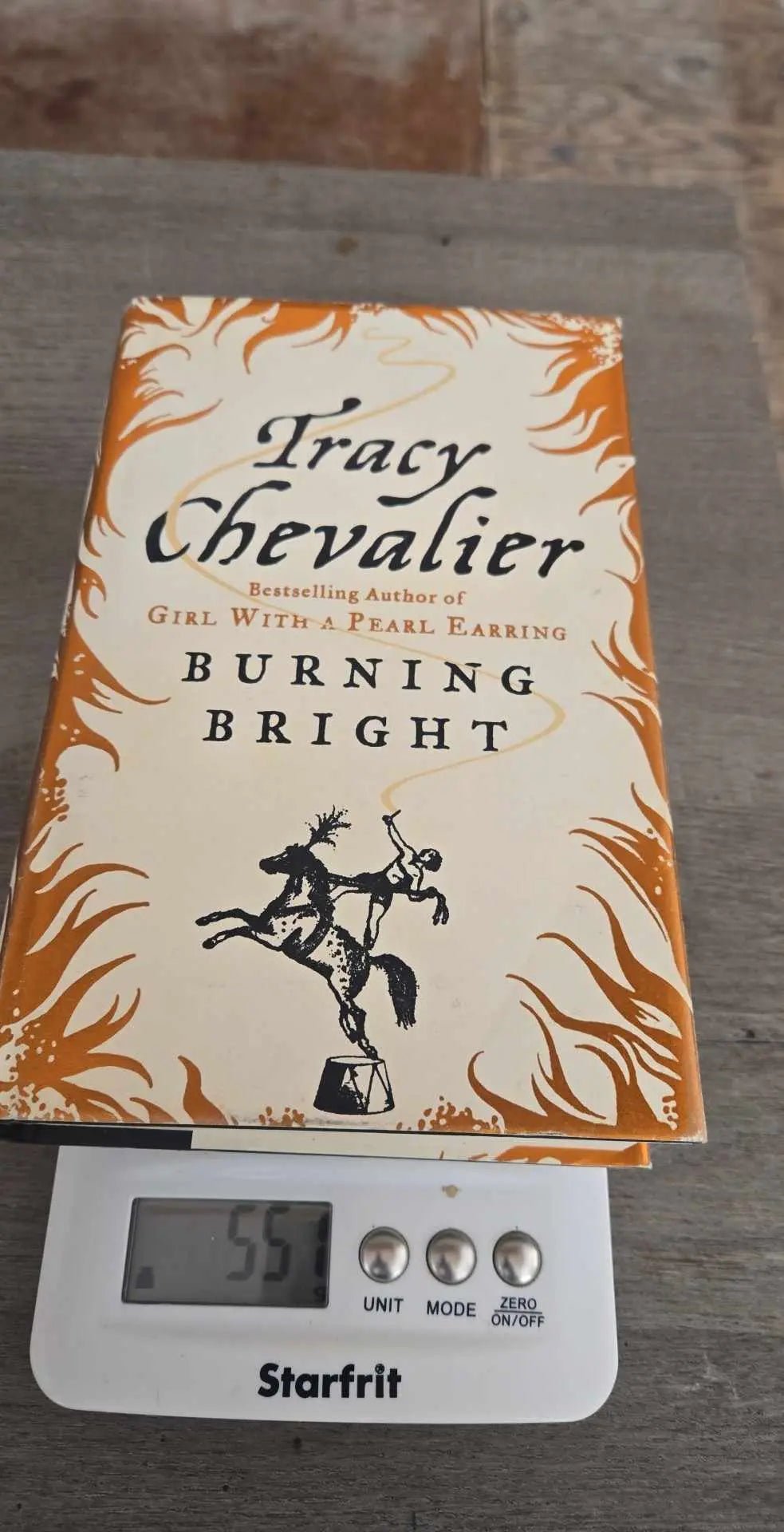 Burning Bright by Tracy Chevalier | 1st Ed. | Books at The Junk Guru - The Junk Guru
